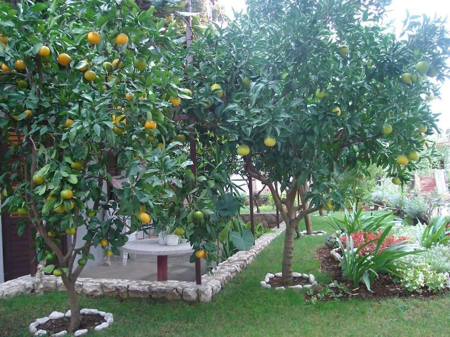 Apartment Mia - Spacious Apartment On 85 M2 With Beautiful Sea View Trogir Luaran gambar